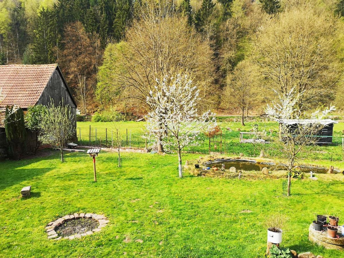 Sinnglueck Obersinn Dış mekan fotoğraf